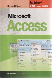 Image of Microsoft Access